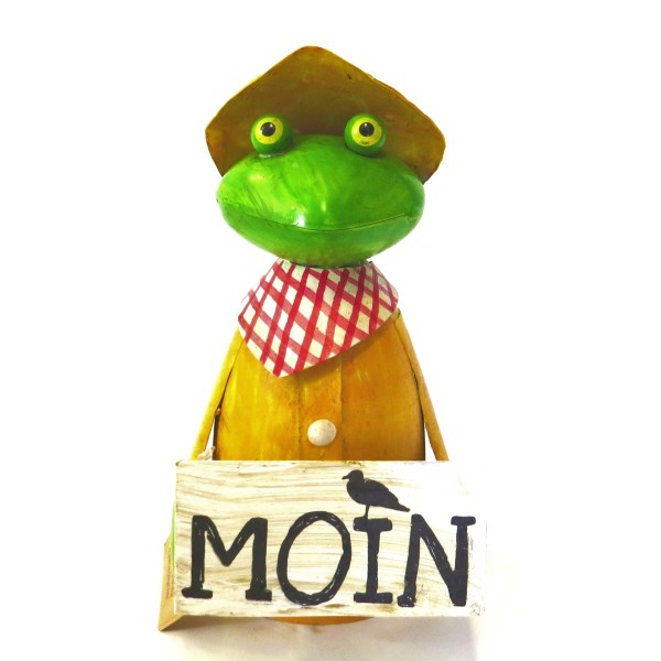 Frosch Deko Friesennerz Moin Zaunhocker Lustig 21,5 cm