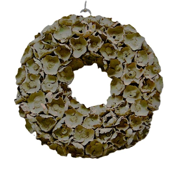Kranz Deko Tür Hängekranz Kokosblüte Grün 40 cm