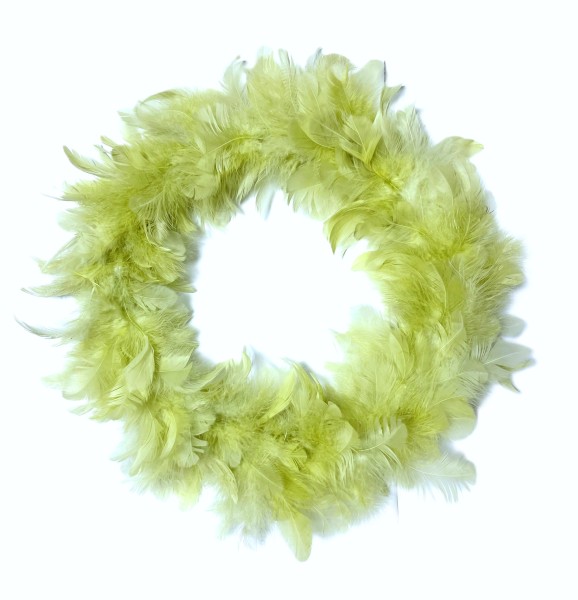 Federkranz Grün Deko Frühling Ostern 35 cm